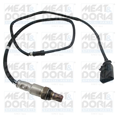 Oxygen Sensor
